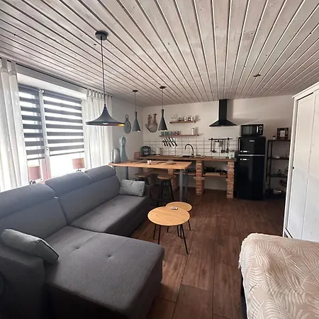 Apartment Loft Sluknov